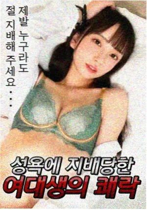 欧美剧集更新节奏分析